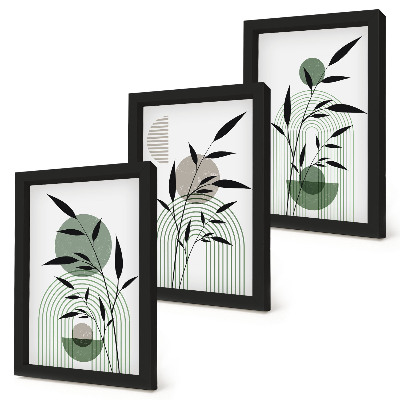 Pakke med billeder og rammer Abstrakte plantekompositioner, boho-stil
