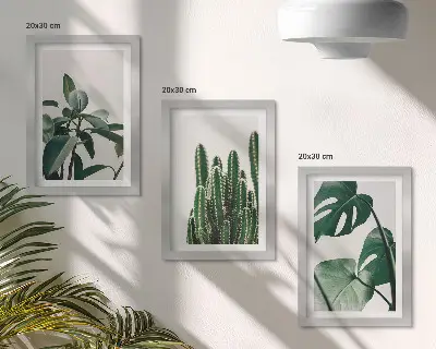 Billeder og rammer med tropiske stueplanter sæt med æstetiske blade