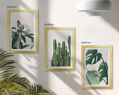Billeder og rammer med tropiske stueplanter sæt med æstetiske blade