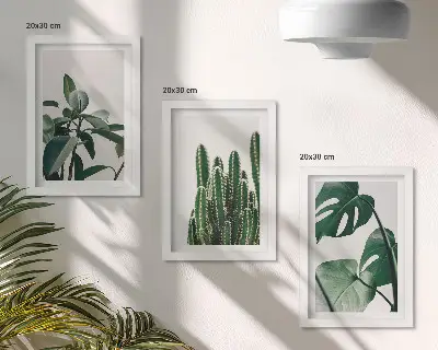 Billeder og rammer med tropiske stueplanter sæt med æstetiske blade