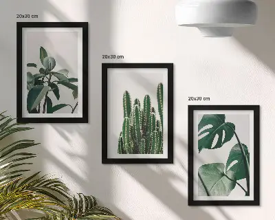 Billeder og rammer med tropiske stueplanter sæt med æstetiske blade