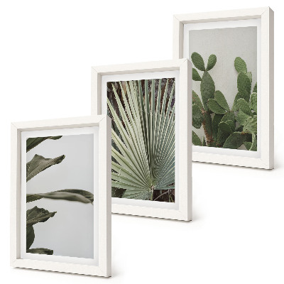 Pakke med billeder og rammer Blade af tropiske planter i pastelfarver