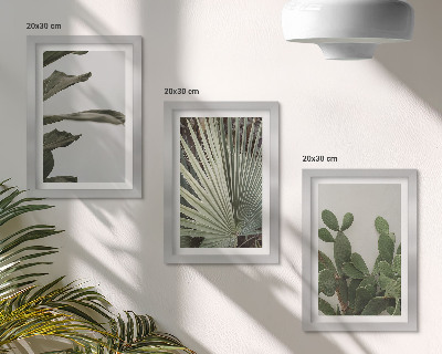 Pakke med billeder og rammer Blade af tropiske planter i pastelfarver