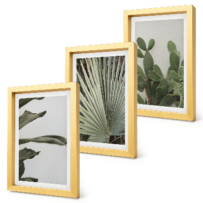 Pakke med billeder og rammer Blade af tropiske planter i pastelfarver