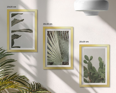 Pakke med billeder og rammer Blade af tropiske planter i pastelfarver