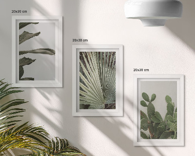 Pakke med billeder og rammer Blade af tropiske planter i pastelfarver