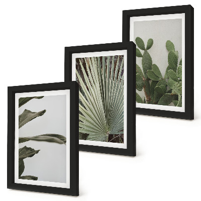 Pakke med billeder og rammer Blade af tropiske planter i pastelfarver