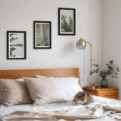 Pakke med billeder og rammer Blade af tropiske planter i pastelfarver