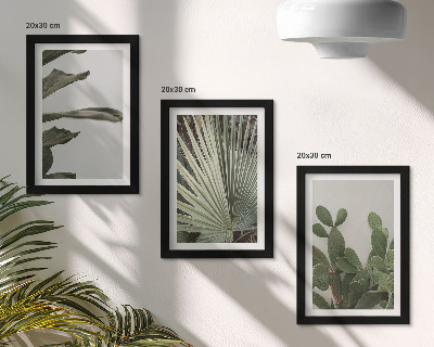 Pakke med billeder og rammer Blade af tropiske planter i pastelfarver