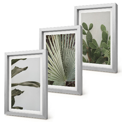 Pakke med billeder og rammer Blade af tropiske planter i pastelfarver