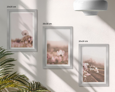 Pakke med billeder og rammer Vilde blomster på engene om sommeren, romantiske landskaber