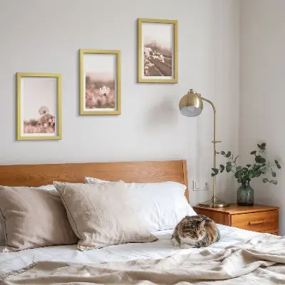 Pakke med billeder og rammer vilde blomster på engene om sommeren i romantiske landskaber