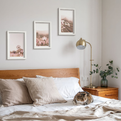 Pakke med billeder og rammer Vilde blomster på engene om sommeren, romantiske landskaber