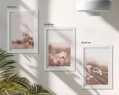 Pakke med billeder og rammer vilde blomster på engene om sommeren i romantiske landskaber