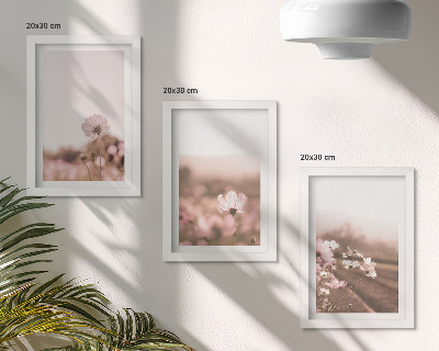 Pakke med billeder og rammer Vilde blomster på engene om sommeren, romantiske landskaber