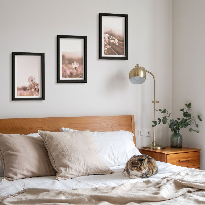 Pakke med billeder og rammer Vilde blomster på engene om sommeren, romantiske landskaber
