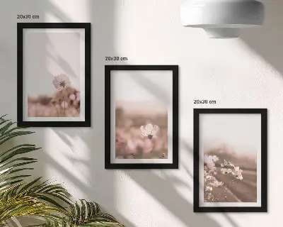 Pakke med billeder og rammer vilde blomster på engene om sommeren i romantiske landskaber