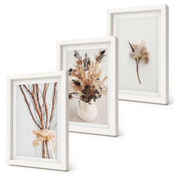 Pakke med billeder og rammer Blomster og grene i minimalistisk naturstil