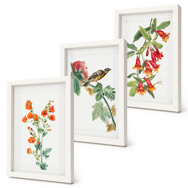 Pakke med billeder og rammer Malede retro blomster og en fugl på en gren