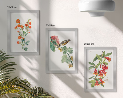 Pakke med billeder og rammer Malede retro blomster og en fugl på en gren