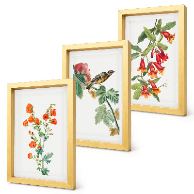 Pakke med billeder og rammer Malede retro blomster og en fugl på en gren
