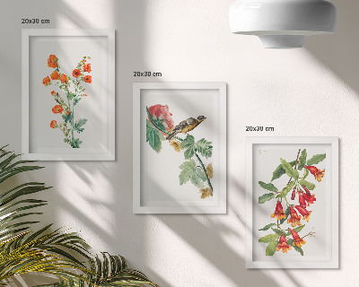 Pakke med billeder og rammer Malede retro blomster og en fugl på en gren