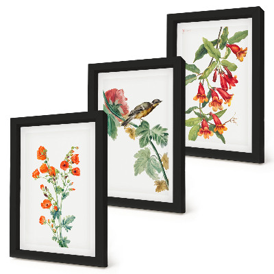 Pakke med billeder og rammer Malede retro blomster og en fugl på en gren