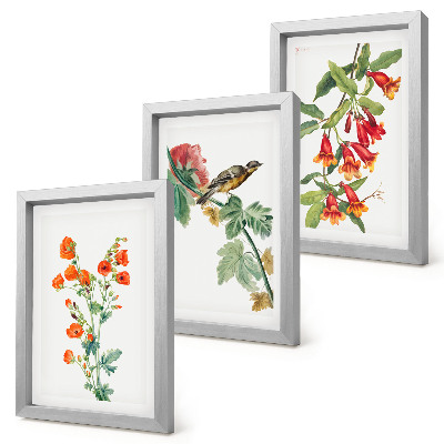 Pakke med billeder og rammer Malede retro blomster og en fugl på en gren