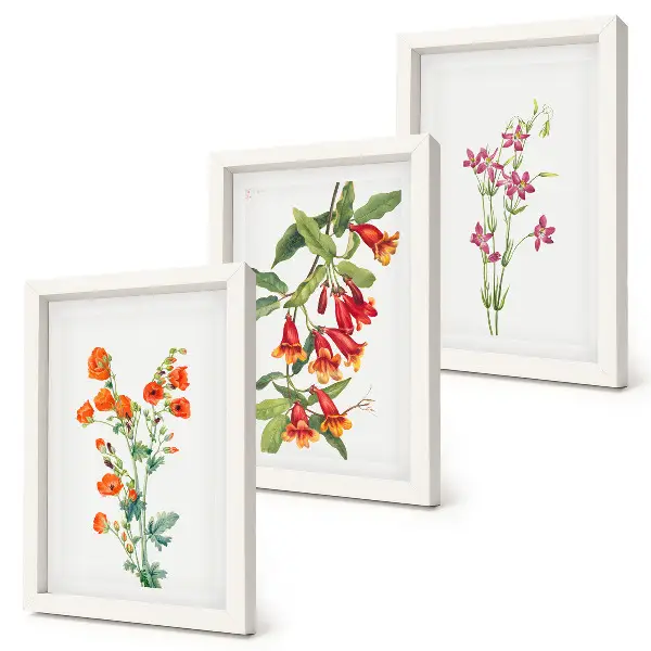 Billedvæg med vintage retro blomstermaleri