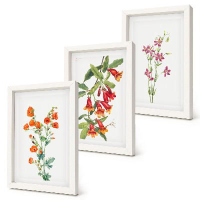 Billedvæg Vintage retro blomstermaleri