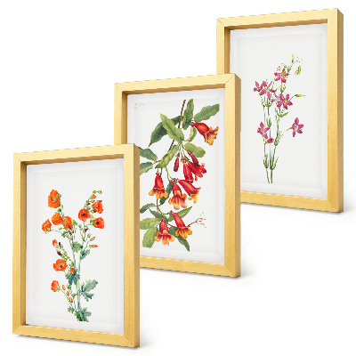 Billedvæg Vintage retro blomstermaleri