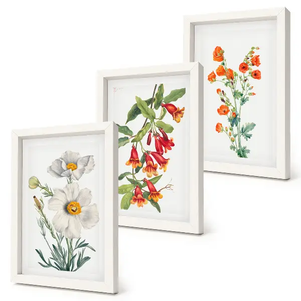 Moderne billedsæt med retro vintage blomsterkompositioner