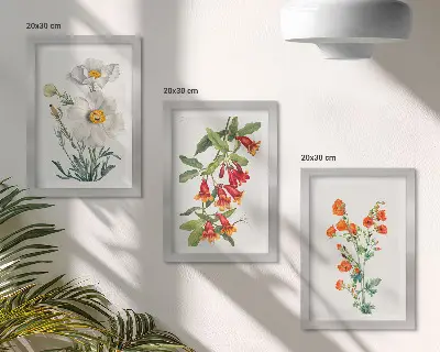 Moderne billedsæt med retro vintage blomsterkompositioner