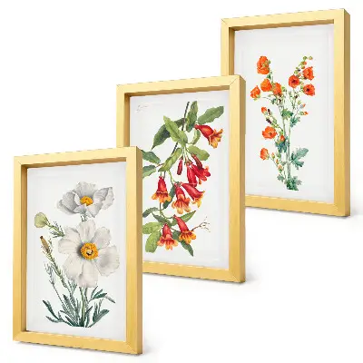 Moderne billedsæt med retro vintage blomsterkompositioner