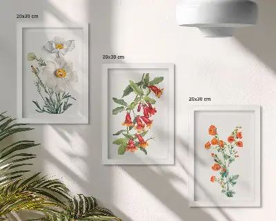 Moderne billedsæt med retro vintage blomsterkompositioner