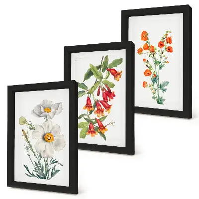 Moderne billedsæt med retro vintage blomsterkompositioner