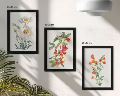 Moderne billedsæt med retro vintage blomsterkompositioner