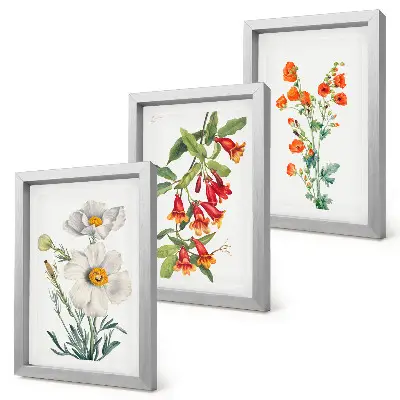 Moderne billedsæt med retro vintage blomsterkompositioner