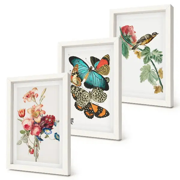 Billeder og rammer med motiver af blomster, sommerfugle og en fugl i pastelfarver