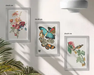Billeder og rammer med motiver af blomster, sommerfugle og en fugl i pastelfarver