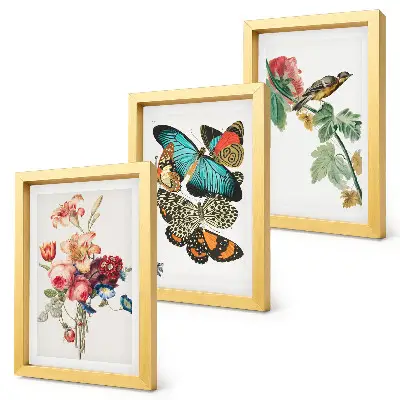 Billeder og rammer med motiver af blomster, sommerfugle og en fugl i pastelfarver