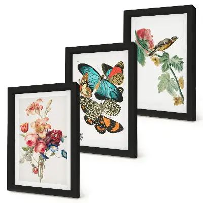 Billeder og rammer med motiver af blomster, sommerfugle og en fugl i pastelfarver