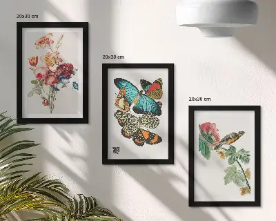 Billeder og rammer med motiver af blomster, sommerfugle og en fugl i pastelfarver