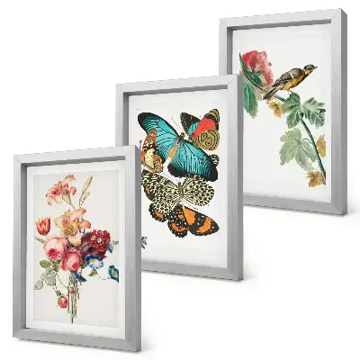 Billeder og rammer med motiver af blomster, sommerfugle og en fugl i pastelfarver