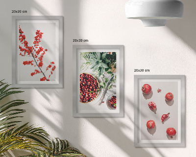 Pakke med billeder og rammer Røde frugter og planter i minimalistisk stil