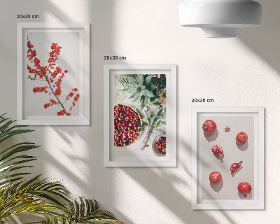 Pakke med billeder og rammer Røde frugter og planter i minimalistisk stil