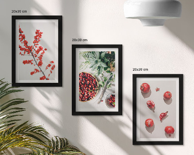 Pakke med billeder og rammer Røde frugter og planter i minimalistisk stil