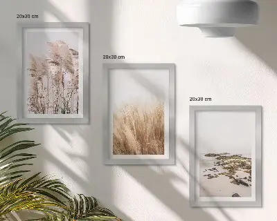 Moderne billedsæt med pampasgræsmarker og en bohemestrand
