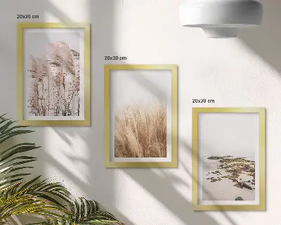 Moderne billedsæt med pampasgræsmarker og en bohemestrand