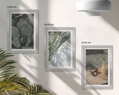 Moderne billedsæt Tropiske planter og sommerferiedetaljer